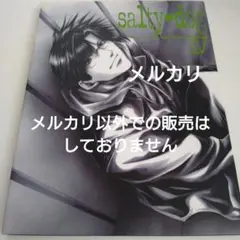 峰倉かずや 最遊記 salty-dog 4 イラスト集 原画集