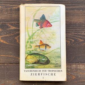 ドイツの古い熱帯鑑賞魚の図鑑(ZIERFISCHE 1956年)/アンティーク ヴィンテージ ドイツ 魚類図鑑 魚のイラスト 魚の絵 熱帯魚 雰囲気◎/