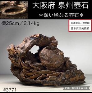 【信濃美術石博物館】水石 盆栽 泉州壺石 横25×高14×奥行10(cm) 重量:2.14kg ヌケあり 骨董盆石鑑賞石観賞石中国古玩太湖石 3771