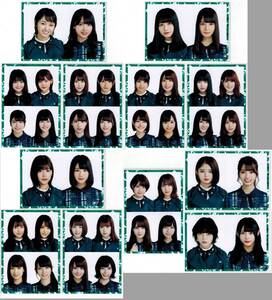 欅坂46 アンビバレント HMV限定 購入特典 生写真 12枚セット コンプ