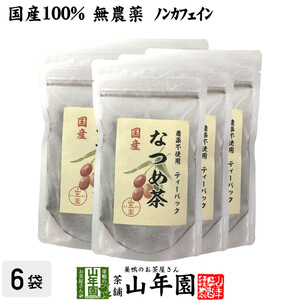 健康茶 国産 なつめ茶 ティーバッグ 24g（2g×12P）×6袋セット 送料無料