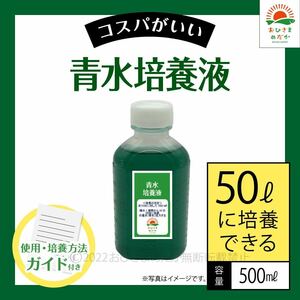 かんたん【青水グリーンウォーター培養液（500ml）50L培養分】メダカめだか金魚錦鯉らんちゅうミジンコゾウリムシクロレラPSBなど利用