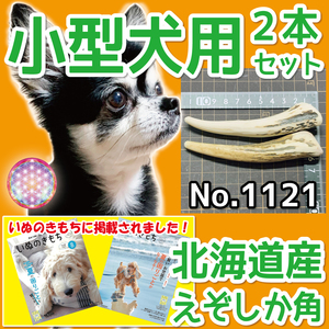 ■ 小型犬用 ■ 蝦夷鹿の角 2本セット ■ 天然 無添加 北海道産 ■ 犬のおもちゃ ■ 鹿角 エゾシカ ツノ 鹿の角 犬 11211