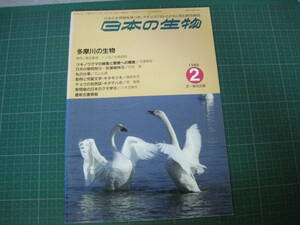 日本の生物　1988年2月号　多摩川の生物　文一総合出版