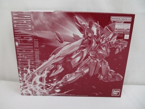 8539P 未組立 MG RGX-00 テスタメントガンダム 1/100 プラモデル ◆ 機動戦士ガンダムSEED DESTINY ASTRAY TESTAMENT GUNDAM ガンプラ