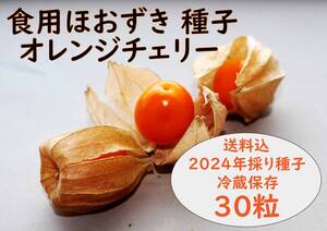 食用ほおずき「オレンジチェリー」種子30粒 ワンコイン500円 a 