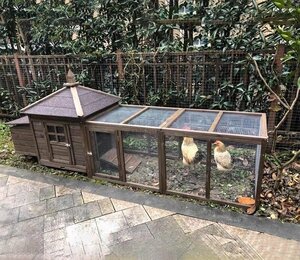 鶏小屋 屋外 庭用 ニワトリかご トリ小屋 別墅 ウサギの巣 ペット用品 鳥かご ニワトリ屋 アヒル 鳥かご ペット