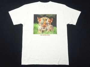 ★新品♪富士サファリパーク★プリントTシャツM/動物園企業物ノベルティグッズ虎トラFUJI SAFARI PARK販促品