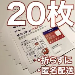 20枚）ゆうパケットポストミニ 専用封筒