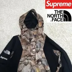 【希少】supreme×THE NORTH FACE マウンテンライトジャケット