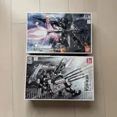 機動戦士ガンダム サンダーボルト　HGセット