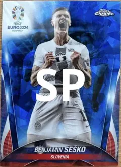 Topps Soccer EURO シェシュコ SPカード レア