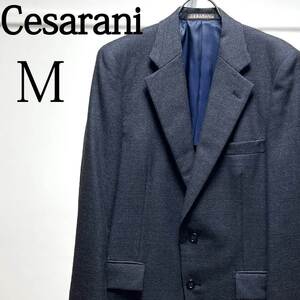 CESARANI new Yorkセサラーニ/ウールジャケット/ジャケパン/M