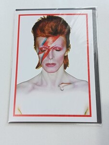 ★DAVID BOWIE IS★大回顧展★会場発売★レターカード★デヴィッド・ボウイ★ジギースターダスト　UK イギリス　ロンドン