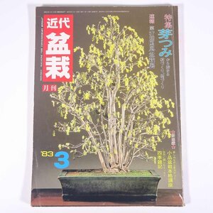 月刊 近代盆栽 No.65 1983/3 近代出版 雑誌 盆栽総合誌 園芸 ガーデニング 植物 特集・芽つみ 国風盆栽展 ほか