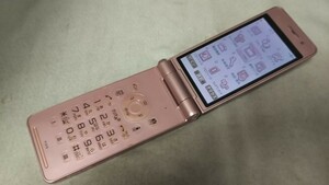 DG4626 docomo FOMA P-01E Panasonic パナソニック ガラケー ケータイ 折り畳み式 簡易動作確認＆簡易清掃＆初期化OK 判定○ 送料無料　