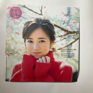 川口葵 週刊プレイボーイ 付録DVD 開封済