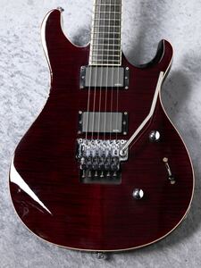 Paul Reed Smith PRS SE Torero フロイドローズ