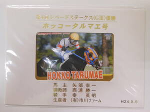 【最終処分/未使用】『ホッコータルマエ 第4回レパードステークス クオカード500』非売品 QUOカード 競馬 牧場・馬主製作系