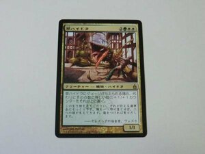 MTG プレイド 【草ハイドラ】 （レア） RAV 日 1枚迄