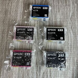  EPSON エプソン 純正 インクカートリッジ ICBK79 ICLGY79 ICVM79 ICVLM79 ICC79 竹 5色 5個 SC-PX5VII 適合