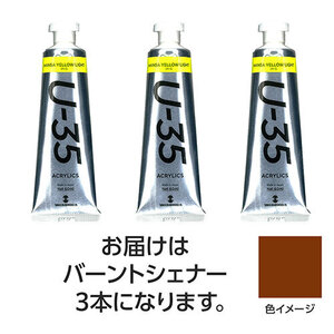 【3本×5セット】 ターナー色彩 U35 バーントシェナー60ml TURNER108773X5 /l