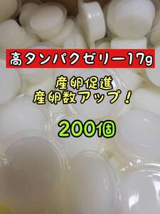 【送料無料】ハイクオリティ昆虫ゼリー 高タンパクゼリー ワイドカップ17g 200個 カブトムシ クワガ タオオクワ 外国産クワカブ