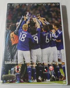 DVD　SAMURAI BLUE Jリーグ TEAM AS ONE　DVD-BOOK 　　　管理（M