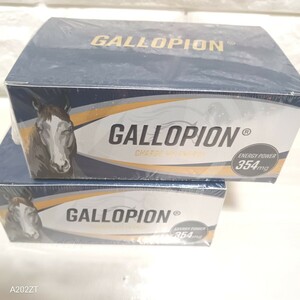 ２箱　GALLOPION (ギャロピオン) 30粒×2箱　 総合メンズサプリ 厳選成分20種配合 シトルリン アルギニン 亜鉛 エナジーチャージ 