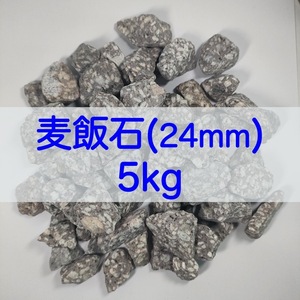 【送料無料】アクアリウム用 麦飯石(24mm) 5kg 水質改善 バクテリア繁殖 メダカ 金魚