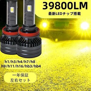 2024 高輝度LEDヘッドライト H1 H3 H4 H7 H8 H9 H11 H16 HB3 HB4 d2s d4s d2r d4r 爆光 白 黄色 ブルー系 ピンク ライムグリーン イエロー