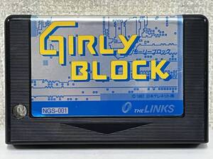 ●○Z501 MSX ROMカートリッジ GIRLY BLOCK ガーリーブロック 日本テレネット○●