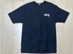 stussy ステューシー　tシャツ　Hawaii