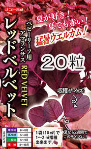 レッドベルベッド（赤アマランサス）20粒　種　種子　　野菜　　家庭菜園