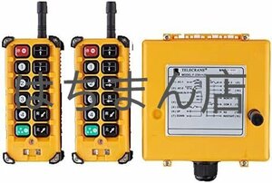 ワイヤレスリモコン クレーンコントローラー IP65防水 工業用 無線 12機能ボタン F23-BB 発信機＊2＋受信機＊1 (24V)