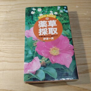 【古本雅】薬草採取　４４０種の見わけ方と採取のコツ （Ｆｉｅｌｄ　ｂｏｏｋｓ） 伊沢一男著,主婦の友社,ISBN4-07-223757-4