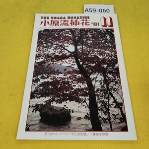 A59-060 小原流挿花 1981年11月号 赤陽の鐘/万作の傾斜型他 小原流文化事業部 傷汚れあり。