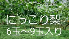 梨　にっこり梨　6玉から9玉　梱包材込み5kg以上