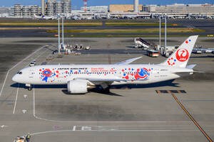 飛行機 デジタル 画像 ボーイング787 JAL ミャクミャクJET 1