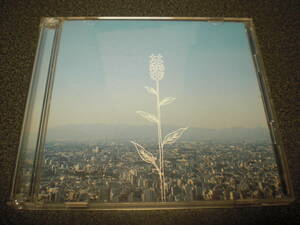 コブクロ 『蕾』 CD 【初回限定盤/DVD付き】