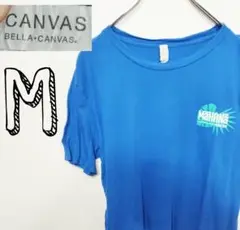 USA古着 canvas Tシャツ 半袖　M ブルー　mahana ハワイ