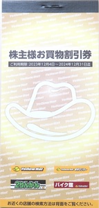 送料無料【未使用】イエローハット★株主様お買物割引券 3,000円分(300円券10枚)★株主優待券★2024年12月31日まで