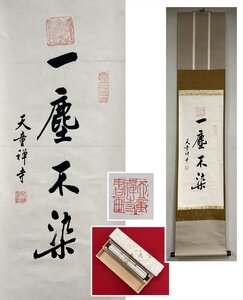 【千寿】東南佛国 天童禅寺 一塵不染 一行書 紙本 d1074◆在銘 箱 茶掛 掛軸 掛物 茶道具