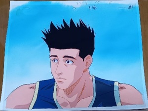 背景付 セル画+直筆 カラー下絵 指示書 2枚付 仙道彰 陵南 スラムダンク SLAMDUNK 東映動画 井上雄彦