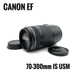 Canon EF 70-300mm F4-5.6 IS USM 手ブレ補正