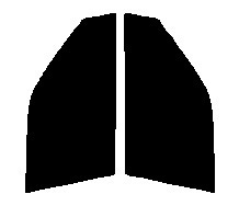 ライトスモーク　５０％　運転席、助手席　プロボックス P5# カット済みフィルム