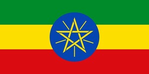エチオピア イルガチャフィ コチャレ ウォッシュド シティロースト 200ｇ 自家焙煎 受注後に焙煎