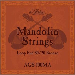 ARIA AGS-100MA Mandolin マンドリン弦