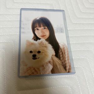 美品！江籠裕奈1st写真集「わがままな可愛さ」SKE48ポストカードきなちゃんとツーショット梱包送料無料追跡機能付きネコポス匿名配送