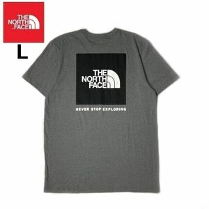 1円～!売切!【正規新品】THE NORTH FACE S/S BOX NSE TEE 半袖 Tシャツ US限定 ボックスロゴ 男女兼用 アウトドア 登山(L)グレー 180902-13